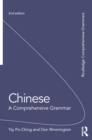 Chinese: A Comprehensive Grammar - eBook