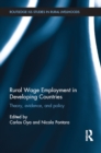 Rural Wage Employment in Developing Countries : Theory, Evidence, and Policy - eBook
