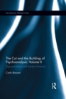 The Cut and the Building of Psychoanalysis: Volume II : Sigmund Freud and Sandor Ferenczi - eBook