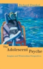 The Adolescent Psyche : Jungian and Winnicottian Perspectives - eBook