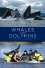 Whales and Dolphins : Cognition, Culture, Conservation and Human Perceptions - eBook