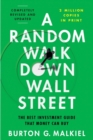 A Random Walk Down Wall Street : The Best Investment Guide That Money Can Buy - eBook