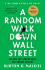 A Random Walk Down Wall Street : The Best Investment Guide That Money Can Buy - Book