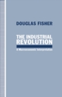 The Industrial Revolution : A Macroeconomic Interpretation - eBook
