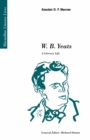 W.B. Yeats : A Literary Life - eBook