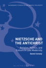 Nietzsche and The Antichrist : Religion, Politics, and Culture in Late Modernity - eBook