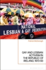 Gay and Lesbian Activism in the Republic of Ireland, 1973-93 - eBook