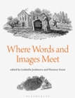 Where Words and Images Meet - eBook