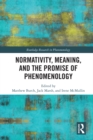 Normativity, Meaning, and the Promise of Phenomenology - eBook