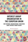 Interest Group Organisation in the European Union : How Internal Organisational Structures Shape Interest Group Agency - eBook