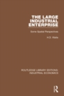 The Large Industrial Enterprise : Some Spatial Perspectives - eBook