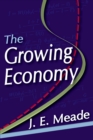 The Growing Economy - eBook