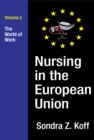 Nursing in the European Union : The World of Work - eBook