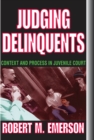 Judging Delinquents : Context and Process in Juvenile Court - eBook