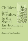 Children and Families in the Social Environment : Modern Applications of Social Work - eBook
