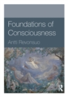 Foundations of Consciousness - eBook