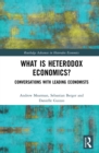 What is Heterodox Economics? : Conversations with Leading Economists - eBook