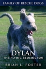 Dylan: The Flying Bedlington - eBook