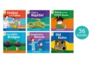 Oxford Reading Tree: Floppy's Phonics Decoding Practice: Oxford Level 5: Class Pack of 36 - Book