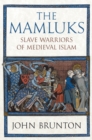 The Mamluks : Slave Warriors of Medieval Islam - eBook