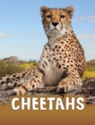Cheetahs - Book