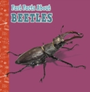 Fast Facts About Beetles - Book