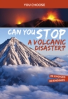 Can You Stop a Volcanic Disaster? : An Interactive Eco Adventure - Book
