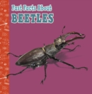 Fast Facts About Beetles - eBook