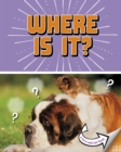 Where Is It? : A Turn-and-See Book - eBook