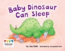 Baby Dinosaur Can Sleep - eBook
