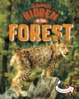 Animals Hidden in the Forest - Book
