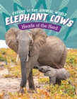 Elephant Cows : Heads of the Herd - Book