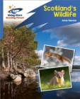 Reading Planet: Rocket Phonics   Target Practice   Scotland's Wildlife   Blue - eBook