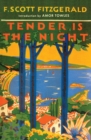 Tender is the Night - eBook