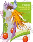 Fairies Colour by Numbers - Book