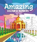 Amazing Colour by Numbers : Includes 45 Artworks To Colour - Book