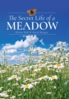 The Secret Life of a Meadow - eBook