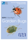 RSPB ID Spotlight - Garden Bugs - Book