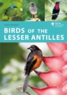 Birds of the Lesser Antilles - eBook