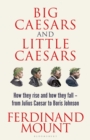 Big Caesars and Little Caesars : How They Rise and How They Fall - From Julius Caesar to Boris Johnson - eBook