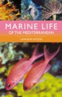 Marine Life of the Mediterranean - eBook