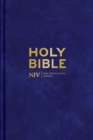NIV Larger Print Personal Velvet Bible - Book