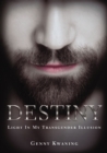 Destiny : Light In My Transgender Illusion - eBook
