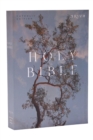 NRSV Catholic Edition Bible, Eucalyptus Paperback (Global Cover Series) : Holy Bible - Book