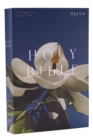 NRSV Catholic Edition Bible, Magnolia Paperback (Global Cover Series) : Holy Bible - Book