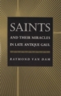 Saints and Their Miracles in Late Antique Gaul - eBook