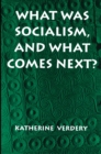 What Was Socialism, and What Comes Next? - eBook