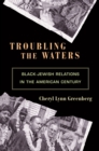 Troubling the Waters : Black-Jewish Relations in the American Century - eBook