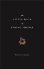 The Little Book of String Theory - eBook