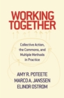 Working Together : Collective Action, the Commons, and Multiple Methods in Practice - eBook